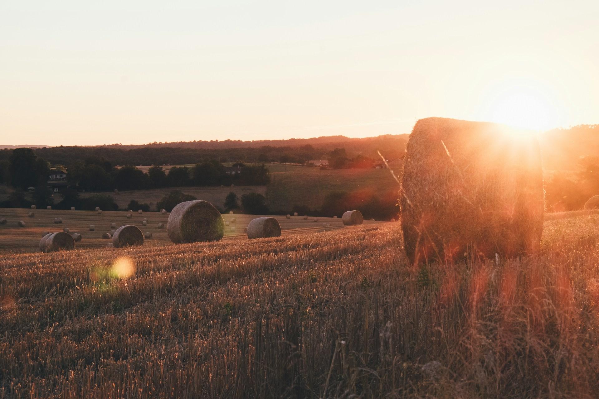 6 Sustainable Travel Tips for Foodies in France